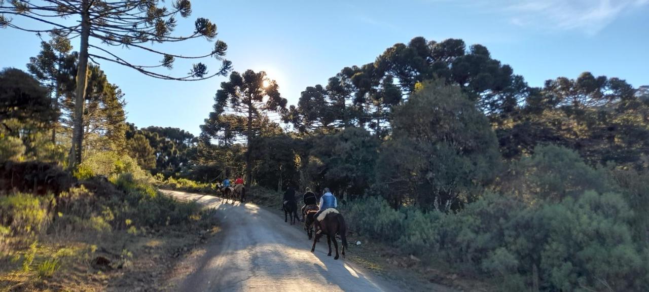 Cabanas Fazenda Rancho Alegre Urubici Mundo Novo  Bagian luar foto
